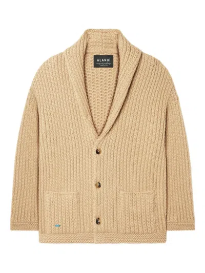 Alanui Cardigan Mit Aufgesetzten Taschen In Brown