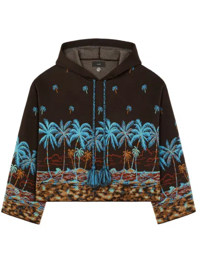 Alanui The Tale Of Hawaiian Hoodie In Brown