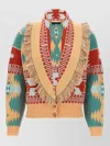 Alanui Thistles Knitwear Shawl Collar Fringe In Multi