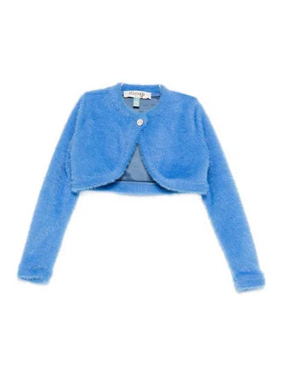 Alapage Crewneck Cardigan In Blue