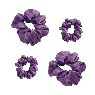 Alas Women's Pink / Purple 4 Silk Scrunchies In Noble Purple In Pink/purple