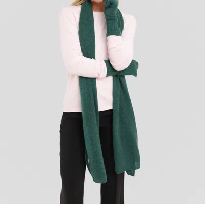 Alashan Cashmere Cashmere Essential Scarf In Wild Wood In Gray