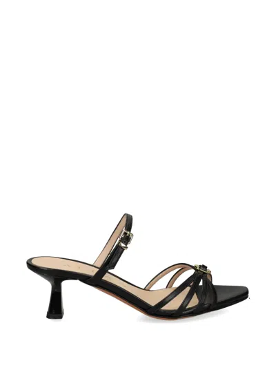 Albano 50mm Buckle-embellished Mules In Black