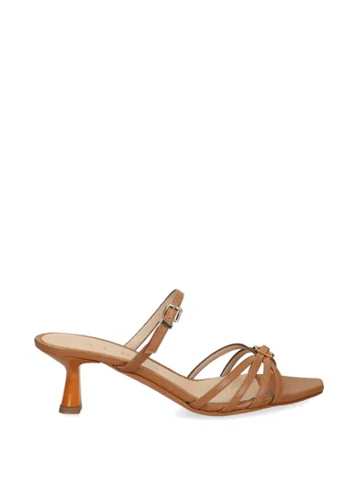 Albano Buckle-embellished Mules In Brown