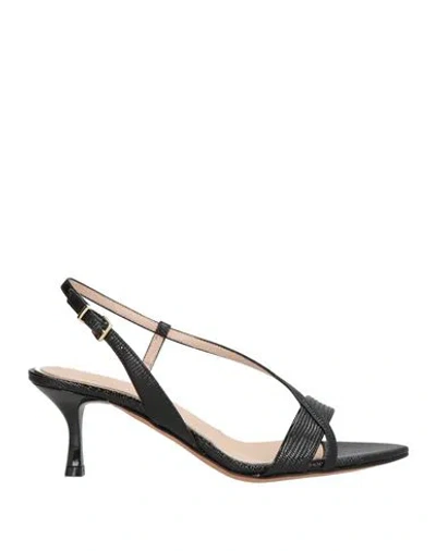 Albano Woman Sandals Black Size 6 Synthetic Fibers
