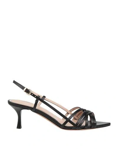 Albano Woman Sandals Black Size 8 Textile Fibers