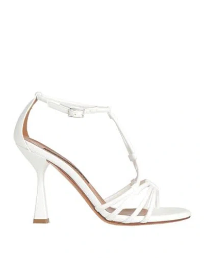 Albano Woman Sandals White Size 7 Soft Leather