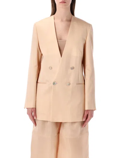 Alberta Ferretti Double Breasted Silk Organza Sheer Blazer In Neutral