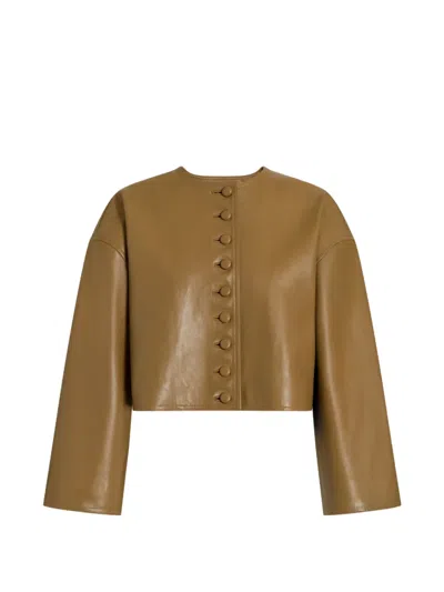 Alberta Ferretti Buttoned Leather Jacket In Brown