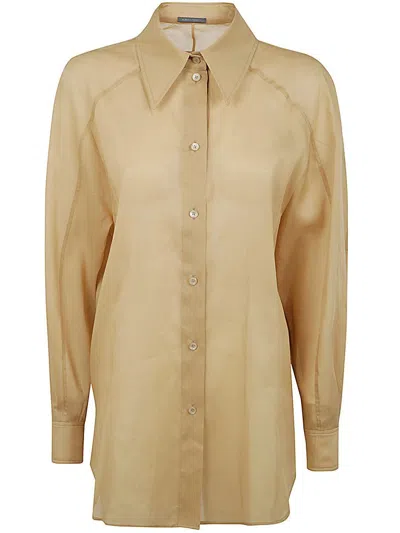 Alberta Ferretti Classic Organdy Shirt Clothing In Brown