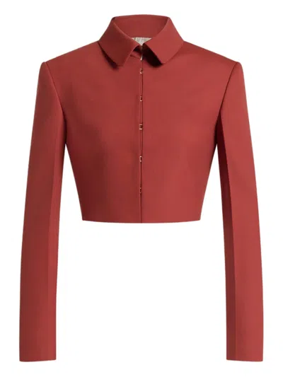 Alberta Ferretti Collared Jacket In Brown