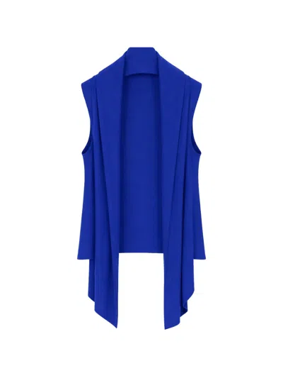 Alberta Ferretti Draped Open-front Top In Blue