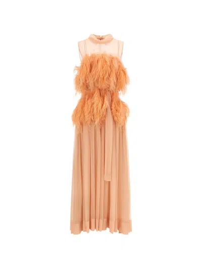 Alberta Ferretti Feather-embellished Silk Maxi Dress In Pink