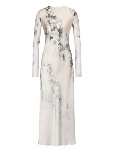 Alberta Ferretti Floral-print Long-sleeve Maxi Dress In Neutral