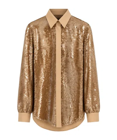 Alberta Ferretti Long-sleeved Shirt In Brown