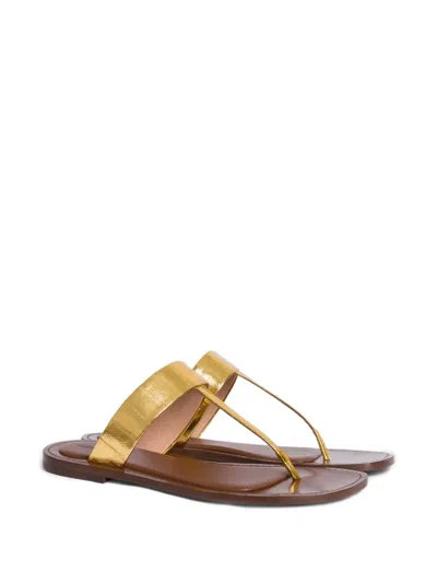 Alberta Ferretti Metallic Thong Sandals In Gold