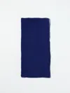 Alberta Ferretti Rectangular Design Scarf In Blue