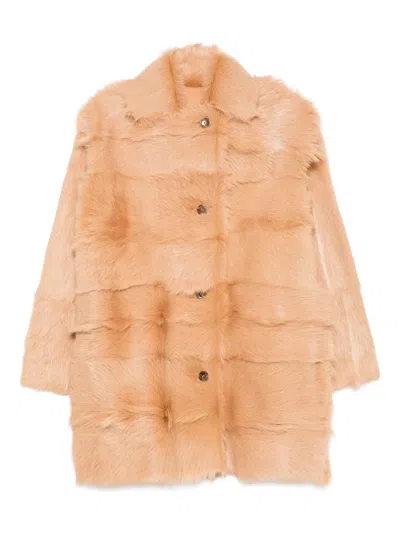 Alberta Ferretti Panelled Button Coat In Brown