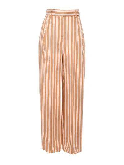 Alberta Ferretti Pantalone In Brown