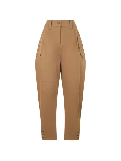 Alberta Ferretti Pleat-detail Trousers In Brown