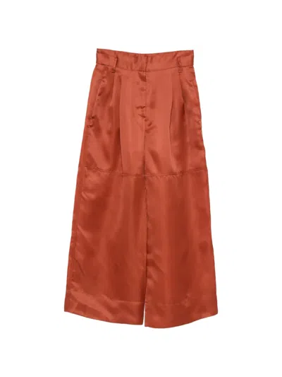 Alberta Ferretti Pleated Trousers In Brown