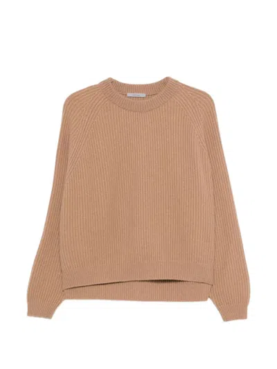 Alberta Ferretti Ribbed Crew-neck Sweater In Brown