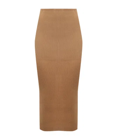 Alberta Ferretti Ribbed Fitted Knitted Skirt In Brown