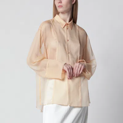 Alberta Ferretti Sheer Long-sleeved Blouse With Classic Collar And Relaxed Silhouette In Multi