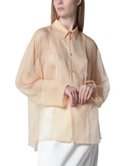 Alberta Ferretti Sheer Long-sleeved Blouse With Classic Collar And Relaxed Silhouette In Brown
