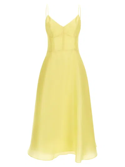 Alberta Ferretti Women Silk Organza Dress In Yellow