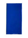 Alberta Ferretti Single Color Scarf In Blue