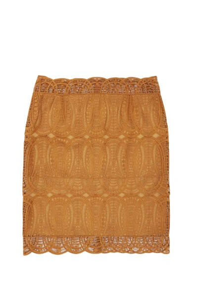 Alberta Ferretti Skirt In Brown