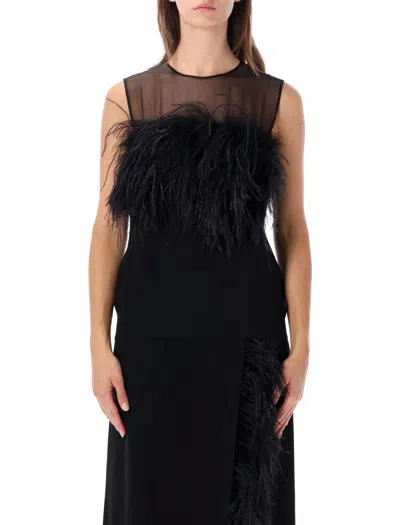 Alberta Ferretti Sleeveless Sheer Feather-trim Maxi Dress In Black