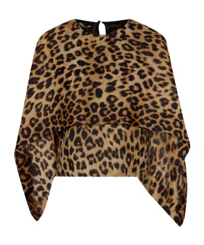 Alberta Ferretti Sleeveless Top In Brown