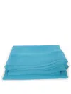 Alberta Ferretti Turquoise Silk Scarf