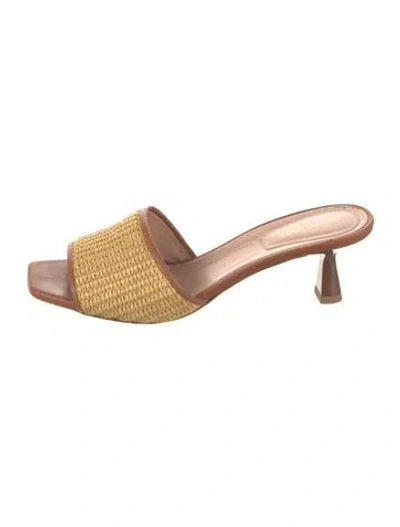 Pre-owned Alberta Ferretti Straw Colorblock Pattern Slides In Yellow