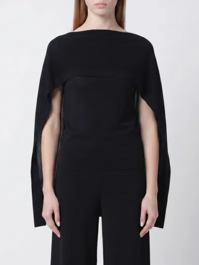 Alberta Ferretti Alberta Ferreti Black Top With Chiffon Sleeves In Multi