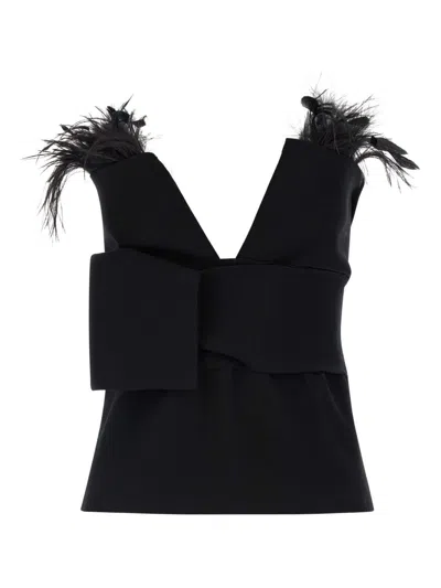 Alberta Ferretti Top With Feathers In Black