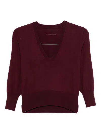 Alberta Ferretti V-neck Top In Burgundy