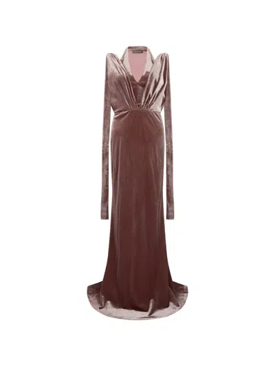 Alberta Ferretti Velvet-texture Long-sleeved Fitted Maxi Dress In Brown