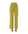 Alberta Ferretti Wide Trousers In Brown
