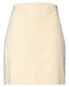 Alberta Ferretti Mini Skirts In White