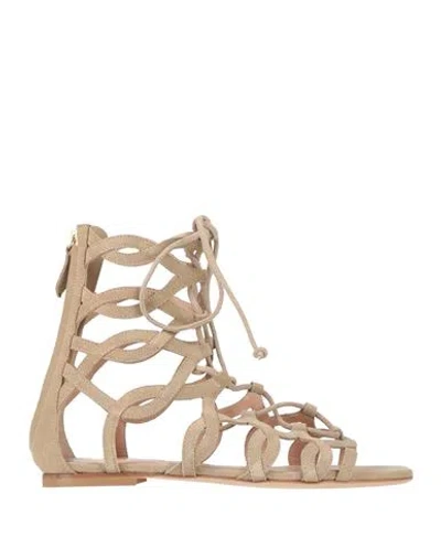 Alberta Ferretti Woman Sandals Beige Size 6 Leather In Multi