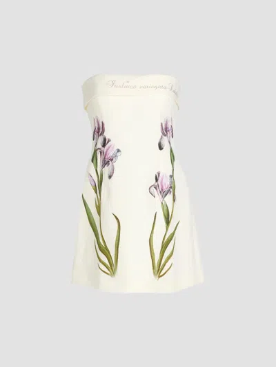 Alberta Ferretti Women's Tulip Linen Strapless Mini Dress In White
