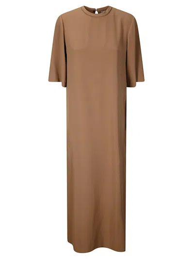 Alberto Biani Long Dress In 褐色