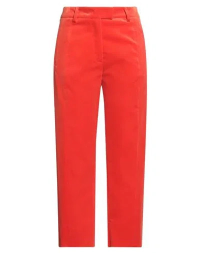 Alberto Biani Woman Pants Tomato Red Size 8 Cotton, Elastane