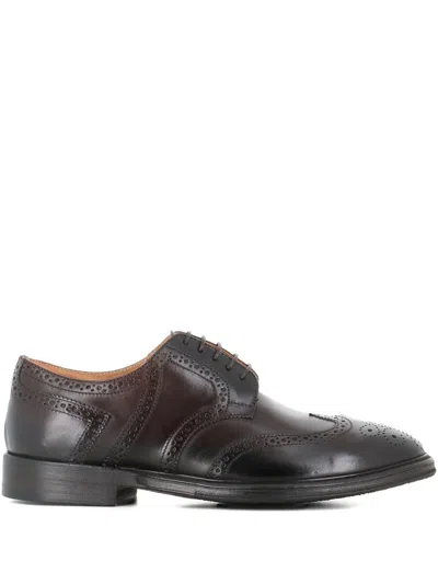 ALBERTO FASCIANI IVAN DOVETAIL 91017 BROGUE DERBY SHOES