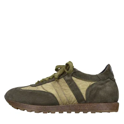 Alberto Fasciani Sneakers In Green