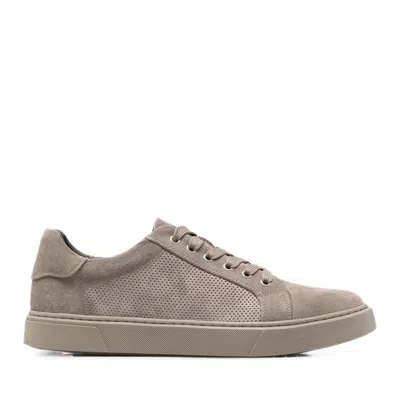Alberto Gozzi Grey Padded Collar Wedge Suede Sneakers In Brown
