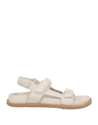 Alberto Guardiani Woman Sandals Off White Size 7 Leather